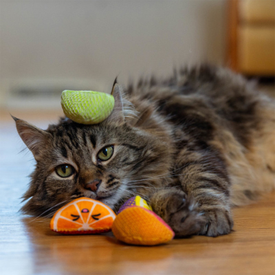 Catstages Fruit Wedges Catnipli Meyve Kedi Oyuncağı 4'lü - 5
