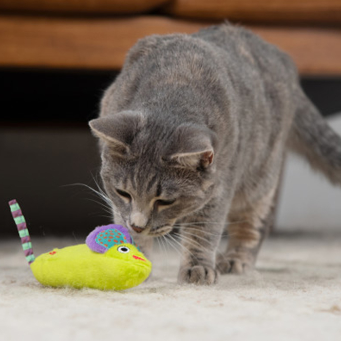 Catstages Green Magic Süper Fare Catnipli Kedi Oyuncağı - 4