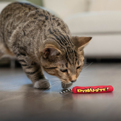 Catstages Green Magic Süper Fare Catnipli Kedi Oyuncağı - 5