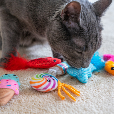 Catstages Kitty Sweet Treats Catnipli Kedi Oyuncak Seti 6'lı - 6