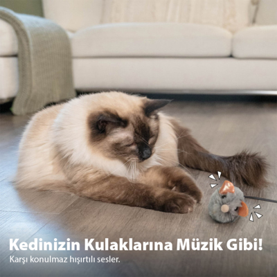 Catstages Squeak Squeak Mouse Catnipli Fare Kedi Oyuncağı - 5