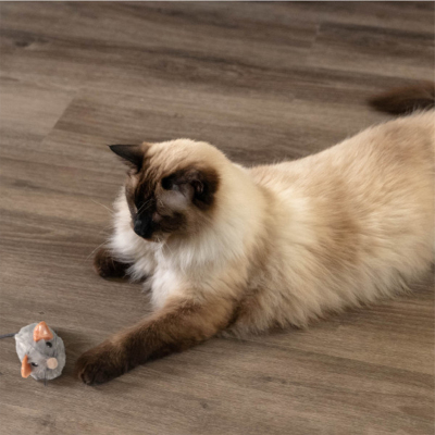 Catstages Squeak Squeak Mouse Catnipli Fare Kedi Oyuncağı - 6