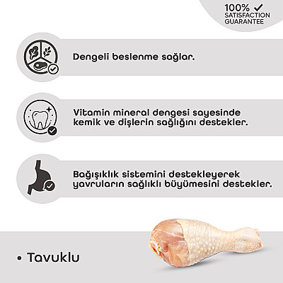 Croque Yavru Kuru Kedi Maması (Kitten) Tavuk Etli 1,5KG (30/12) - 3
