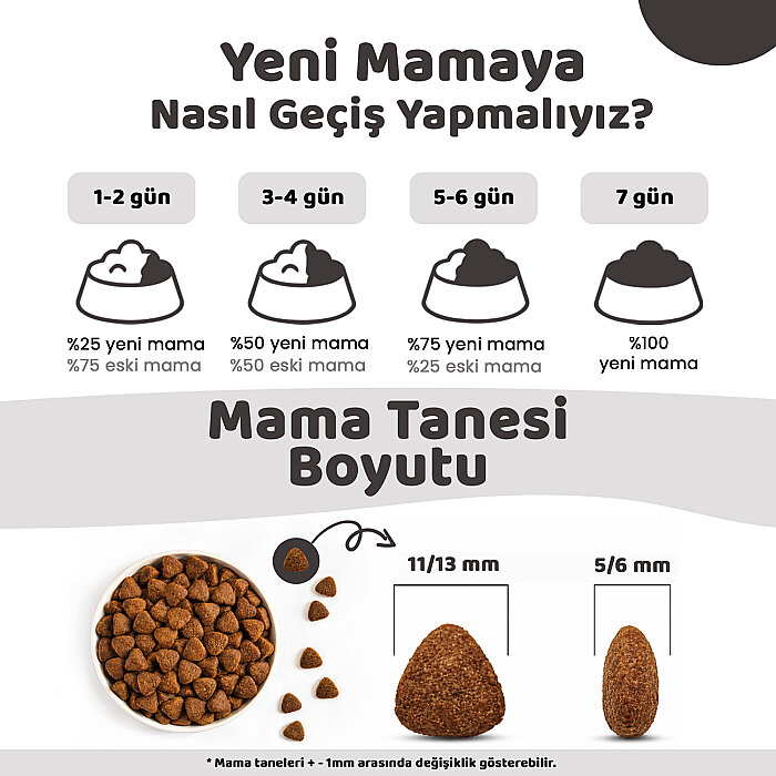Econature Plus Yetişkin Kuru Köpek Maması - Somonlu - 15 Kg - 4