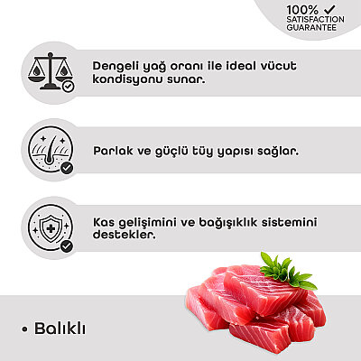 Econature Plus Yetişkin Gurme Kuru Kedi Maması (Adult Cat) Balıklı - 15 Kg - 3