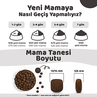 Econature Plus Yetişkin Kuru Köpek Maması (Adult Dog) - Kuzu Etli - 15 Kg - 4