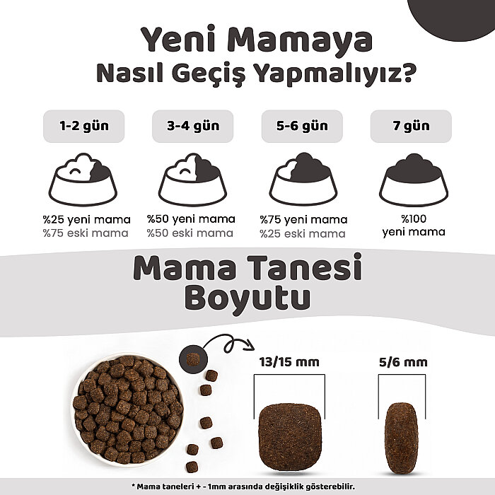 Econature Plus Yetişkin Kuru Köpek Maması (Adult Dog) - Kuzu Etli - 15 Kg - 4