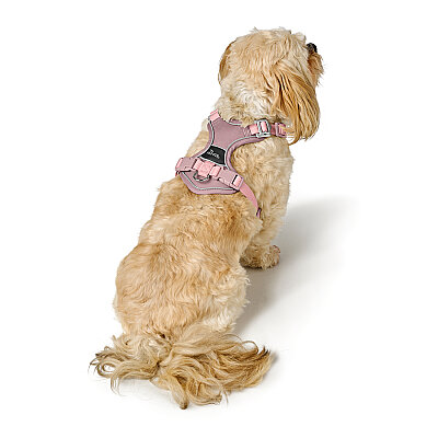 Hunter Köpek Göğüs Tasması Harness Divo Up Pembe 45-56/S - 5