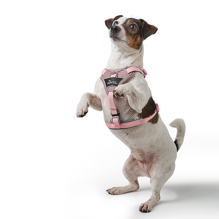 Hunter Köpek Göğüs Tasması Harness Divo Up Pembe 52-68/S-M - 6