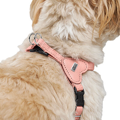 Hunter Köpek Göğüs Tasması Harness Soho Mini Pembe 28-34/XXS-XS - 5