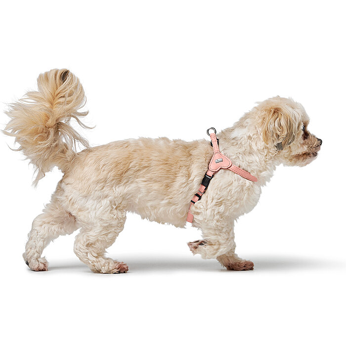 Hunter Köpek Göğüs Tasması Harness Soho Mini Pembe 28-34/XXS-XS - 6