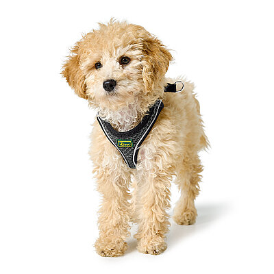 Hunter Köpek Göğüs Tasması Hilo Comfort Gri Siyah XXS-XS - 4