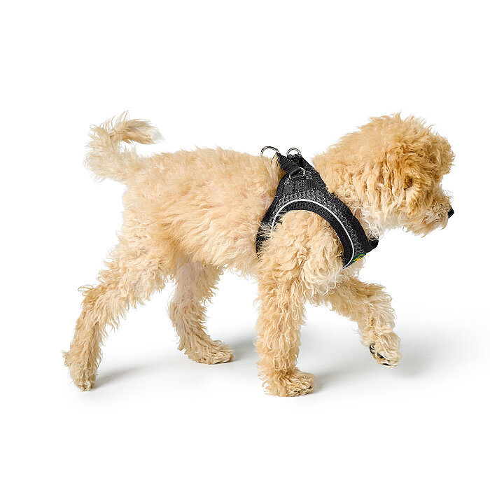 Hunter Köpek Göğüs Tasması Hilo Comfort Gri Siyah XXS-XS - 5