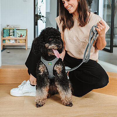 Hunter Köpek Göğüs Tasması Hilo Comfort Gri Siyah XXS-XS - 6
