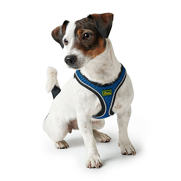 Hunter Köpek Göğüs Tasması Hilo Comfort Mavi Siyah S-M - 4