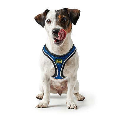 Hunter Köpek Göğüs Tasması Hilo Comfort Mavi Siyah S-M - 5