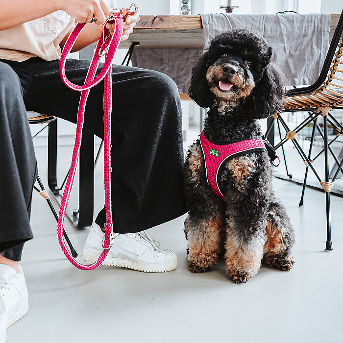 Hunter Köpek Göğüs Tasması Hilo Comfort Pembe Siyah XS - 4