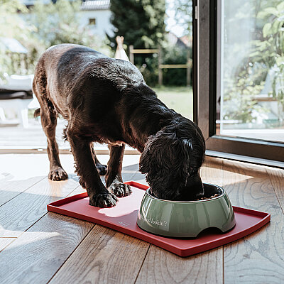 Hunter Köpek Mama Kabı Chester Pembe 160ml - 5