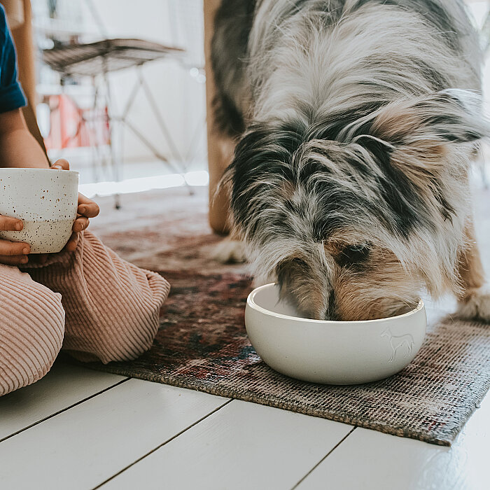 Hunter Köpek Mama Kabı Lund Beyaz 550ml - 6