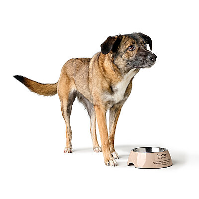 Hunter Köpek Mama Kabı Luton Bej 160ml - 5