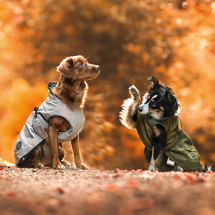 Hunter Köpek Montu Uppsala Trend Haki 40 / L - 6