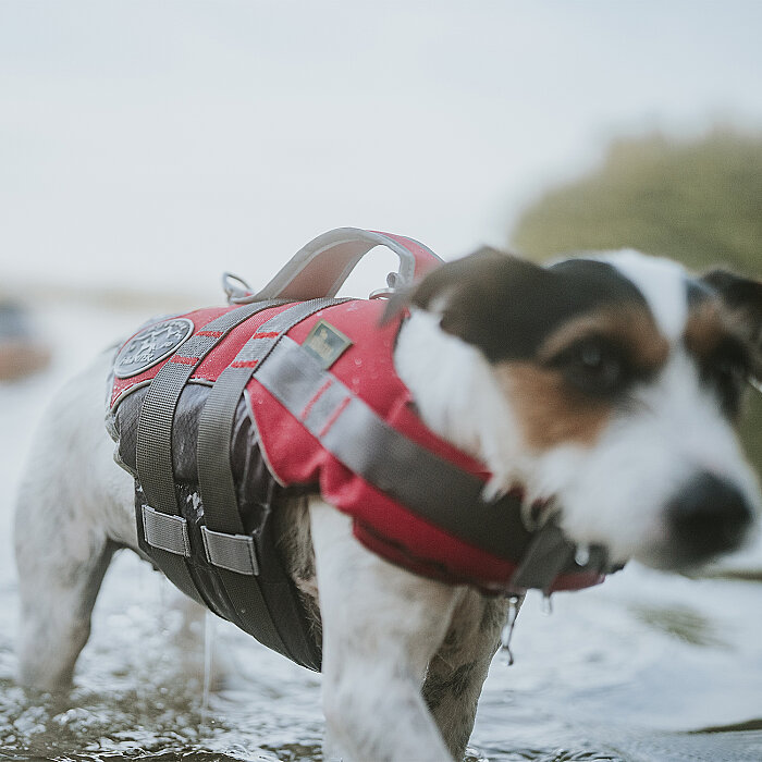 Hunter Köpek Yüzme Yeleği Kırmızı Gri S - 4
