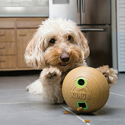 KONG Bamboo Feeder Köpekler için Dambıl Şeklinde Ödül Maması Dağıtma Oyuncağı M - 3