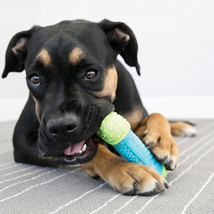 KONG CoreStrength Top Şeklinde Köpek Oyuncağı L - 3