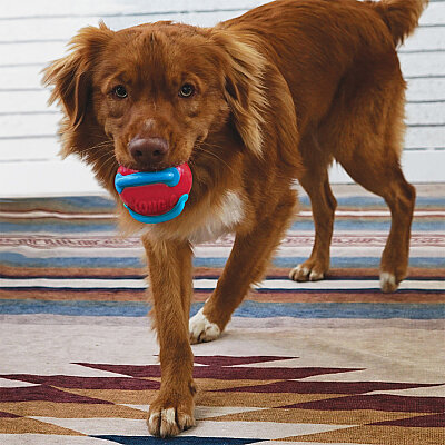 KONG Jaxx Brights Sandviç Şeklinde Köpek Oyuncağı M - 3