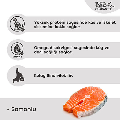 LaVital Büyük Irk Yetişkin Kuru Köpek Maması (Maxi Adult) Somonlu 15 Kg - 3