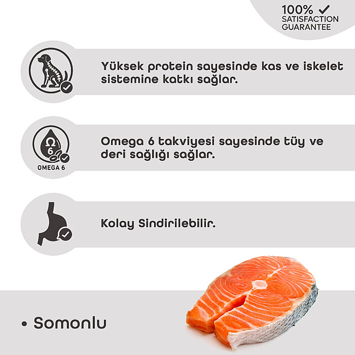 LaVital Büyük Irk Yetişkin Kuru Köpek Maması (Maxi Adult) Somonlu 15 Kg - 3