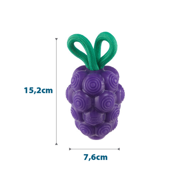 Nina Ottosson Dental Grapes Köpek Çiğneme Oyuncağı - Üzüm - 2