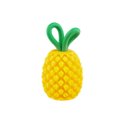Nina Ottosson Dental Pineapple Köpek Çiğneme Oyuncağı - Ananas