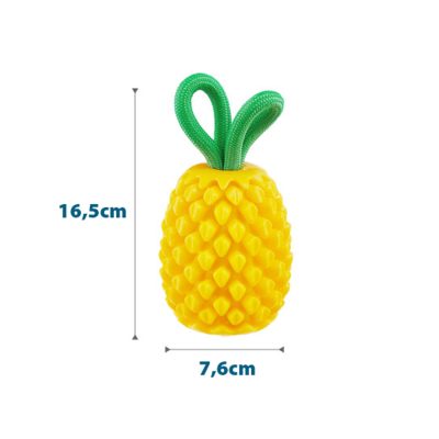 Nina Ottosson Dental Pineapple Köpek Çiğneme Oyuncağı - Ananas (1)