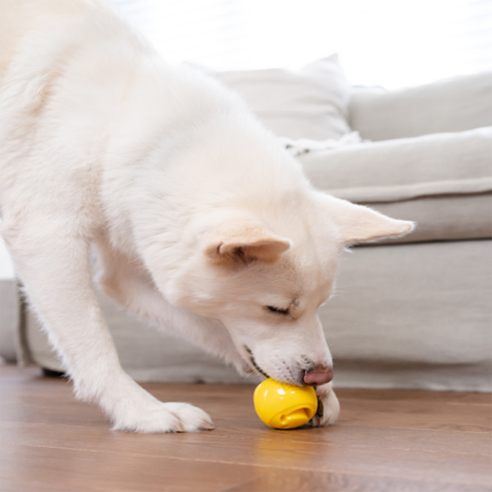 Nina Ottosson Nooks Happiness Köpek Ödül Küpü - 5