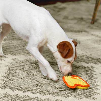 Outward Hound Invincibles Durablez Chicky Köpek Oyuncağı Xsmall - 4