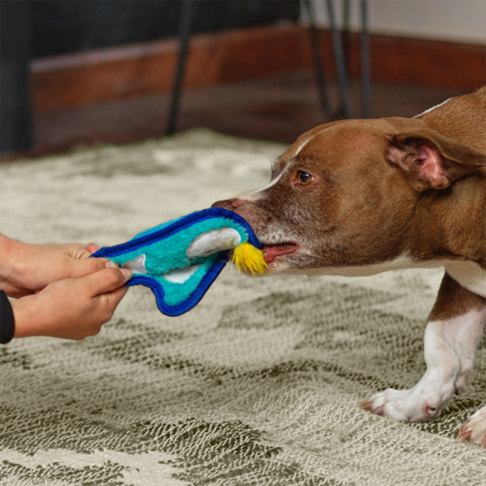 Outward Hound Invincibles Durablez Penguin Köpek Oyuncağı Xsmall - 4