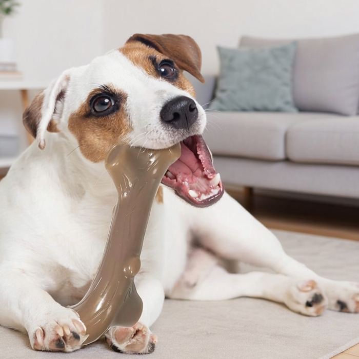 Petstages Liver Branch Ciğer Aromalı Köpek Çiğneme Çubuğu Small - 4