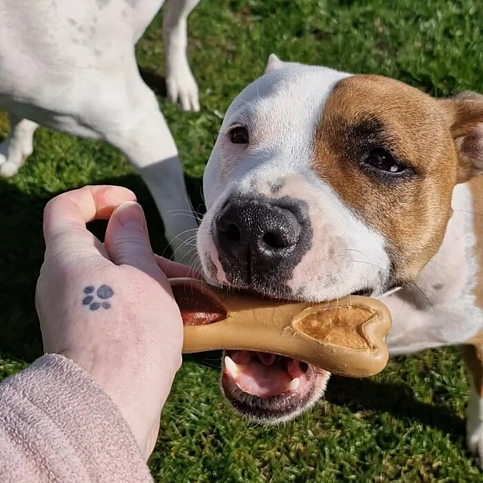 Pow Duo Köpek Ödül Kemiği - Tavuk&Ördek, 2 Adet/128g - 2