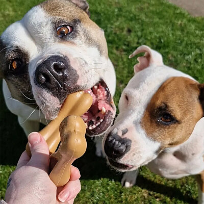 Pow Duo Köpek Ödül Kemiği - Tavuk&Ördek, 2 Adet/128g - 3