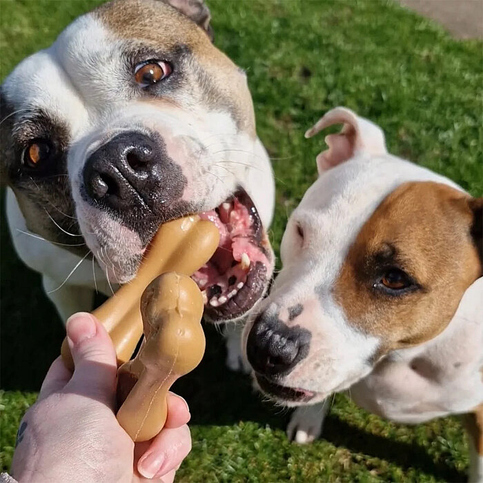 Pow Duo Köpek Ödül Kemiği - Tavuk&Ördek, 2 Adet/128g - 3