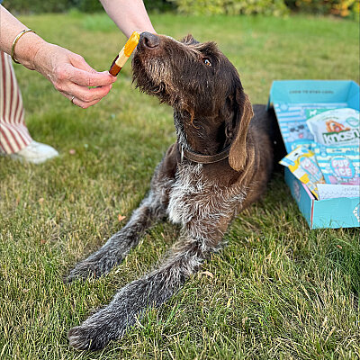 Pup Ice Dondurulabilir Köpek Ödülü - Çikolata&Muz, 2 Adet/90g (1)