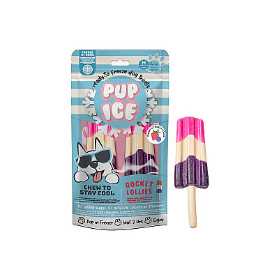 Pup Ice Dondurulabilir Köpek Ödülü - Çikolata&Yaban Mersini, 2 Adet/90g