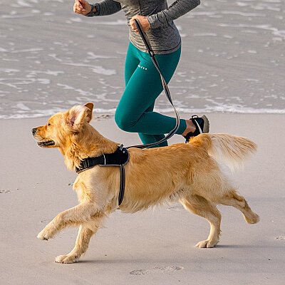 Rogz Air Tech Line Köpek Gezdirme Kayışı Large - Gri - 2