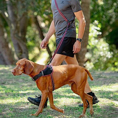 Rogz Air Tech Line Köpek Gezdirme Kayışı Large - Kırmızı - 2
