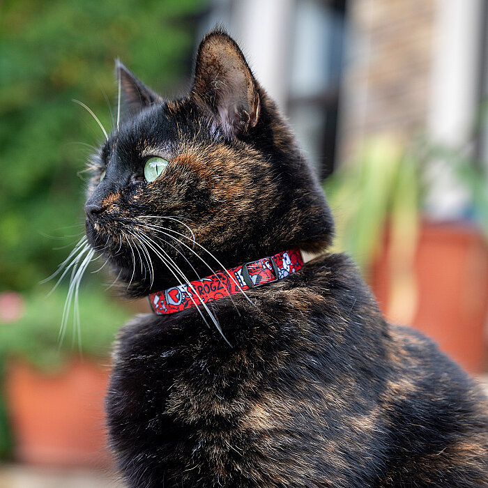 Rogz Catz Fusioncat Collar Kedi Boyun Tasması - Kırmızı - 3