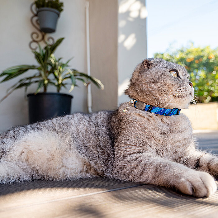 Rogz Catz Fusioncat Collar Kedi Boyun Tasması - Mavi - 3