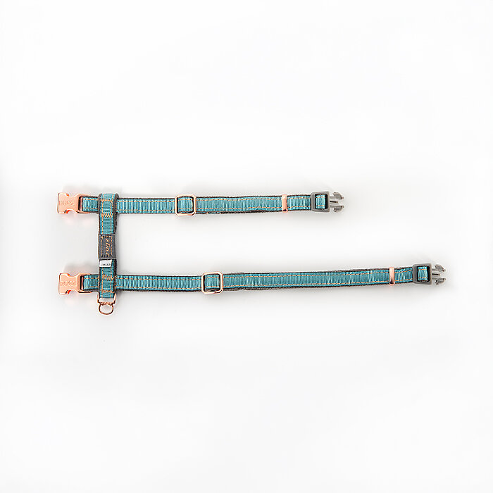 Rogz Catz Urbancat Harness+Leash Kedi Göğüs Tasması ve Gezdirme Kayışı - Turkuaz - 2