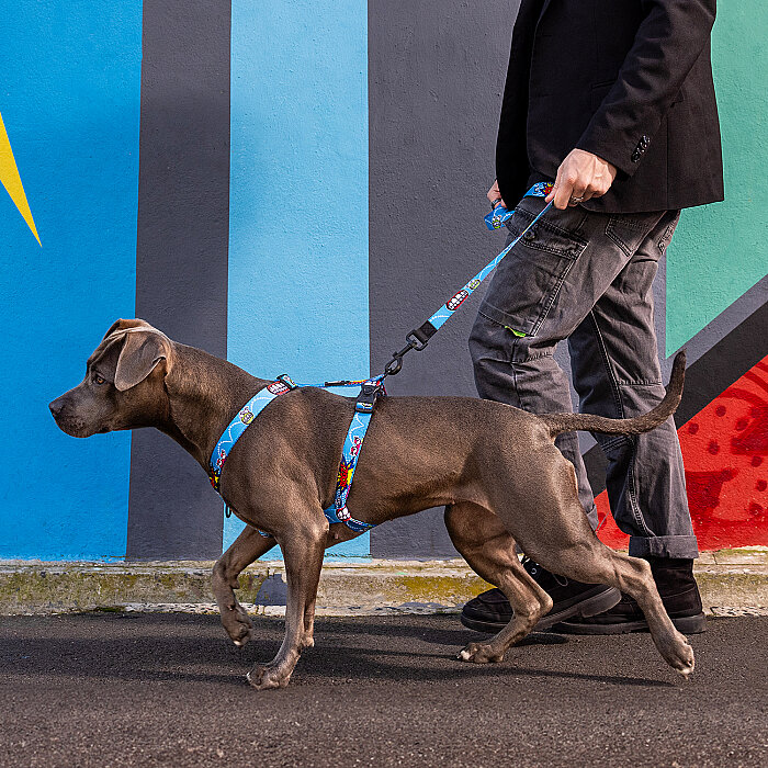 Rogz Fusion Harness Köpek Göğüs Tasması Small - Mavi - 4