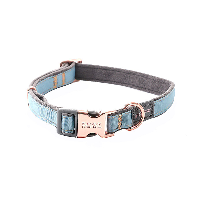Rogz Urban Collar Köpek Boyun Tasması Large - Turkuaz - 1